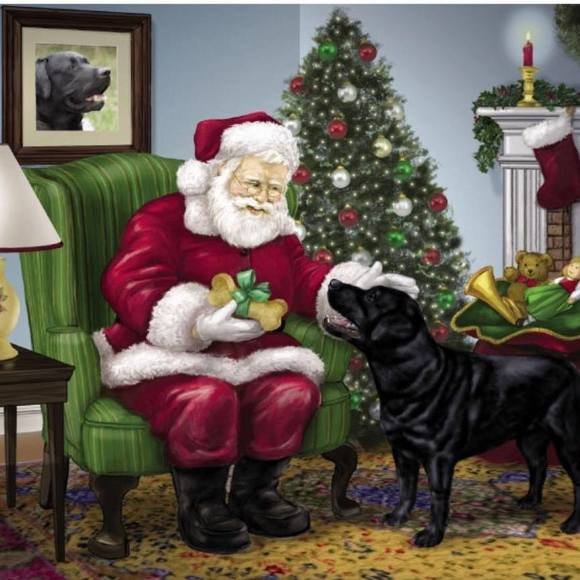 Meet your Posher, Dottie - Picture 1 of 1